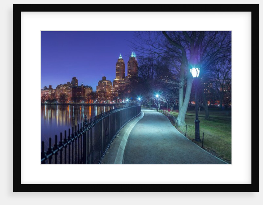 Central park, New York by Assaf Frank